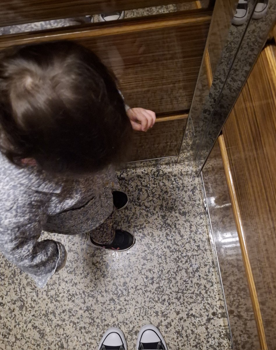 Camel Yellow tweet media