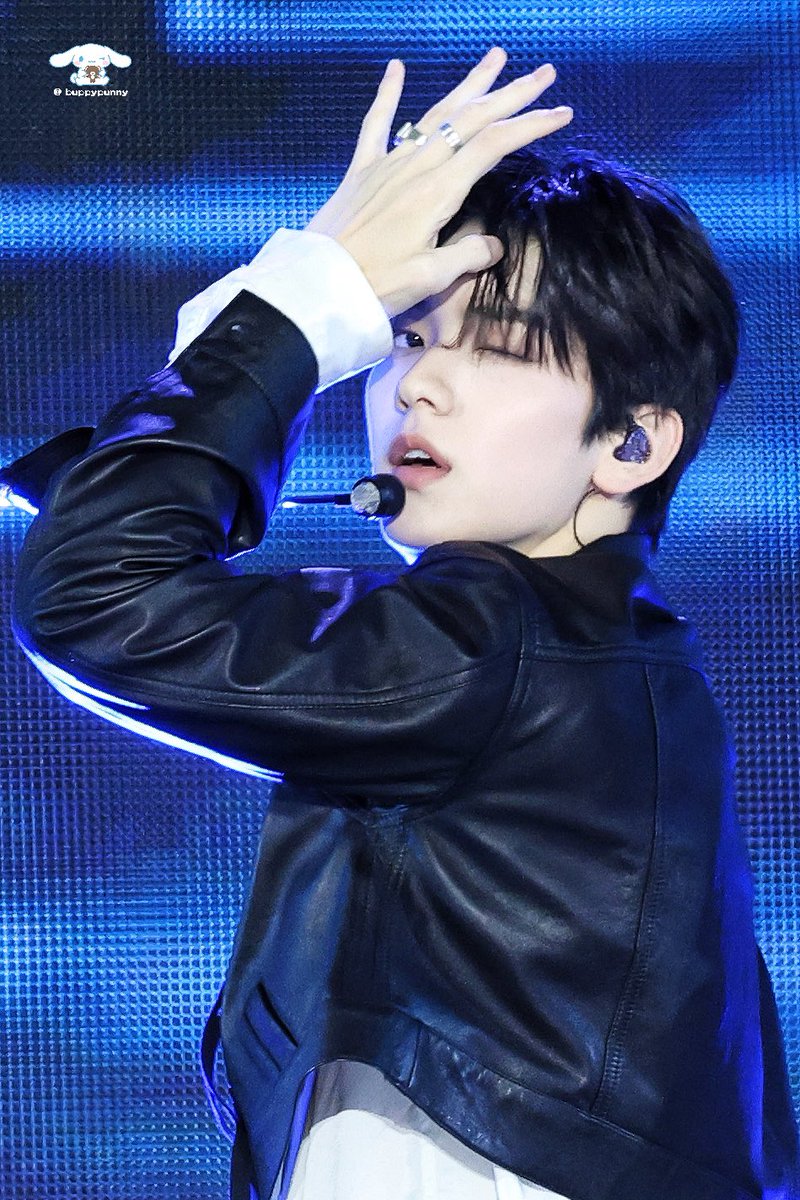 🐰🐶 tweet media