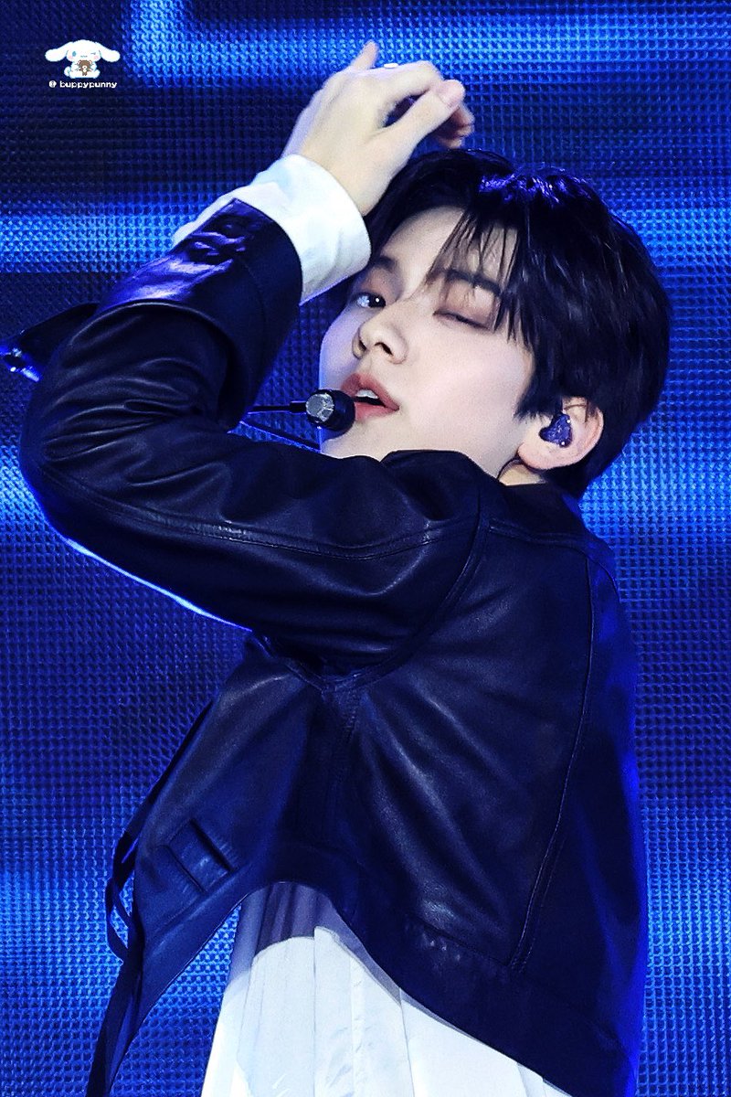 🐰🐶 tweet media