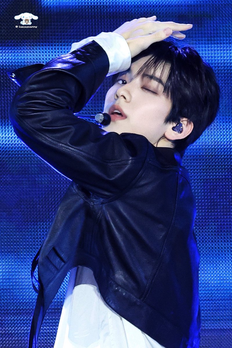 🐰🐶 tweet media