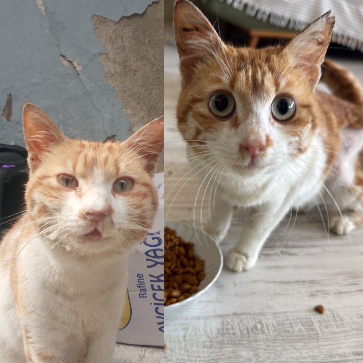 danasu naz tweet media