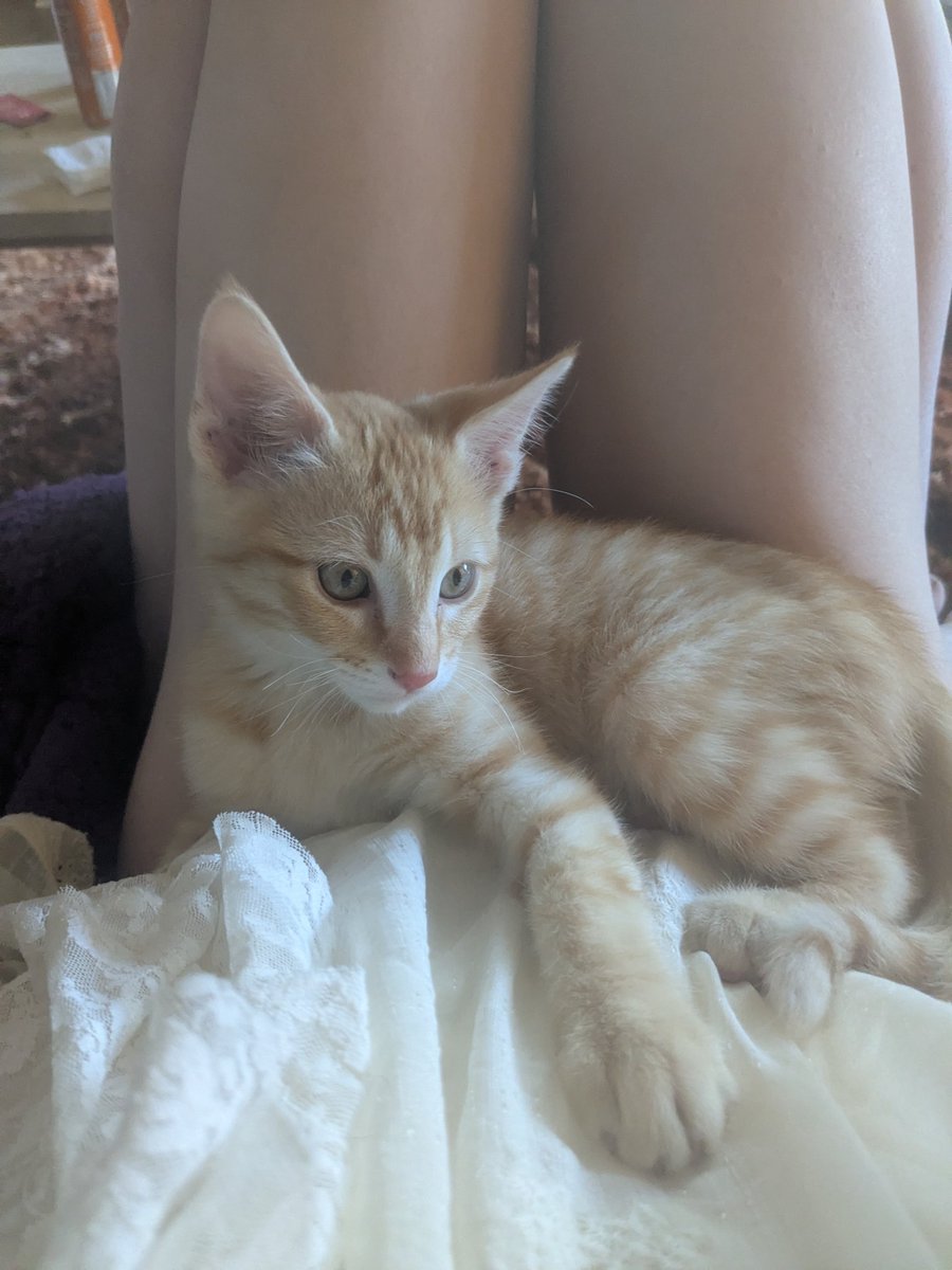 HazelMw 🦌 tweet media