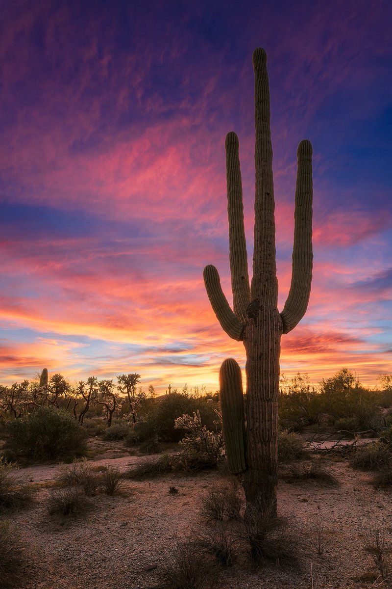 John Sirlin tweet media