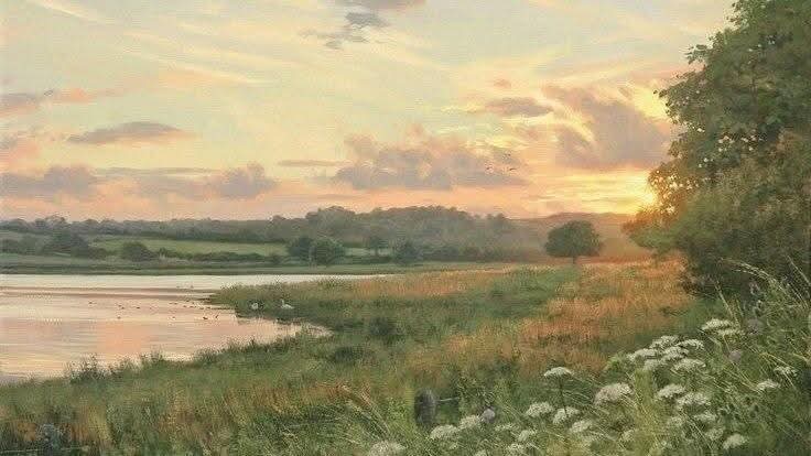 سلمى☆ミ tweet media