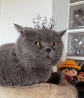 El gordo super diva
