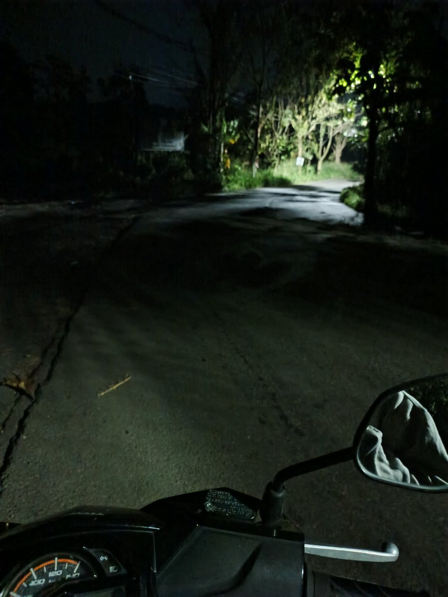 Hakuna Matata. tweet media