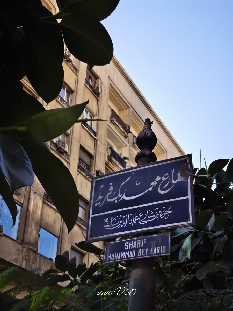 ziko ali tweet media