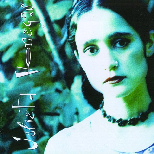 Julieta Venegas Updates tweet media