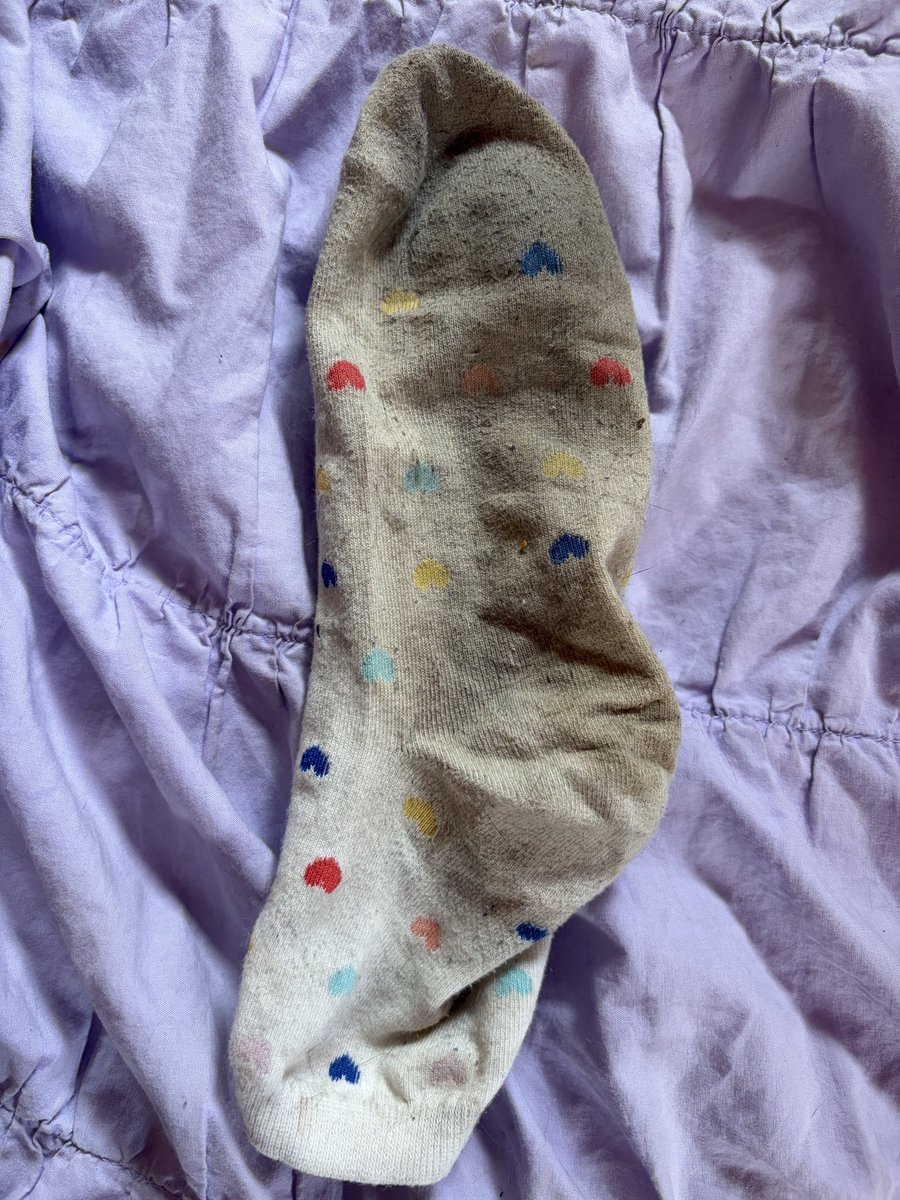 dizzy4lizzy2d's tweet photo. …are u srsly losing to my dirty sock rn https://t.co/2BvB5PvAoz