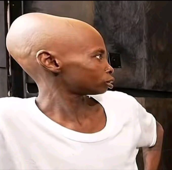 IB 🧸♓️ tweet media