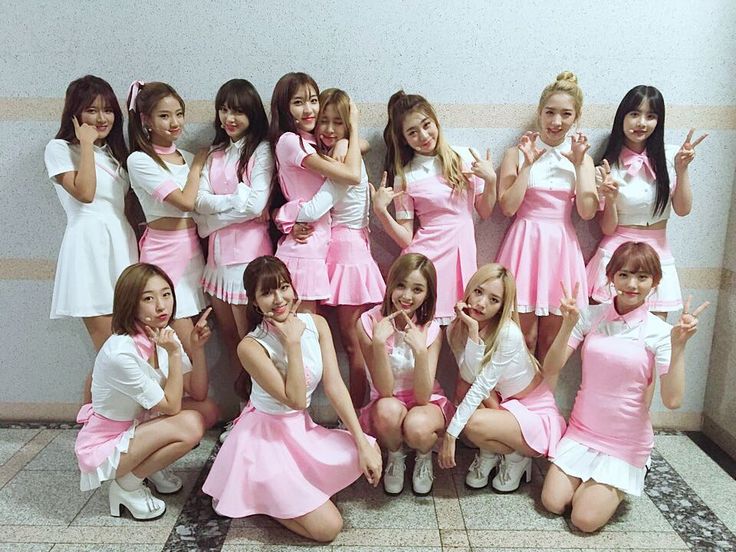 alice ~🐍 tweet media