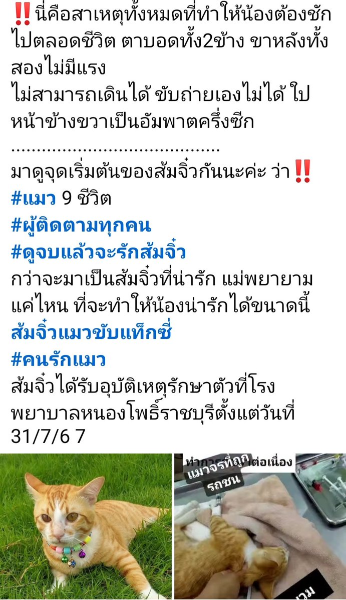 พส tweet media