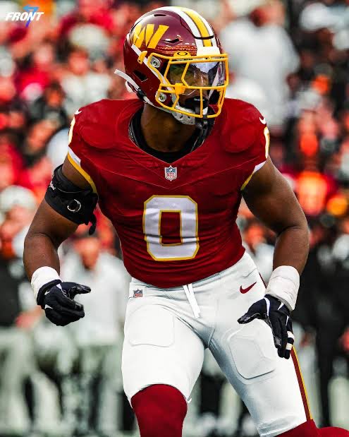 The Weekly Audible tweet media