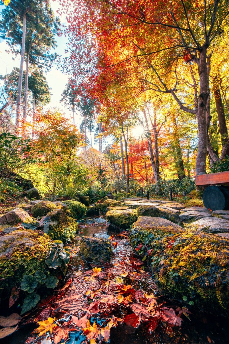 kartheekjairam's tweet image. "Turned 'I can’t' into 'Watch me' today—small steps, big wins. Who’s breaking their own limits with me  #ChallengeAccepted #BreakthroughVibes"