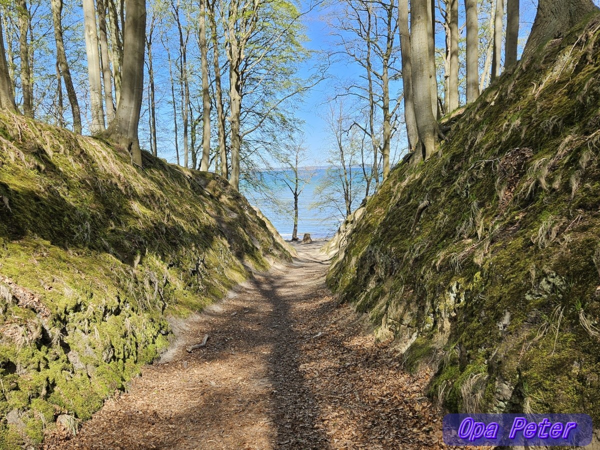 WahlBriesianer's tweet photo. Abendgrüße aus #Binz
Heute Wanderung nach #Sellin.
Wussten, dass es anstrengend wird. Hatten vor, zurück den Bus zu nehmen. Leider hatte der Busfahrer etwas dagegen, weil klein Aimy kein Maulkorb hatte. Also auch wieder zurück gekraxelt.
Nun 32500 Steps auf der Uhr.🤷♂️
Kaputt! 😁 https://t.co/iypZd6YKMX