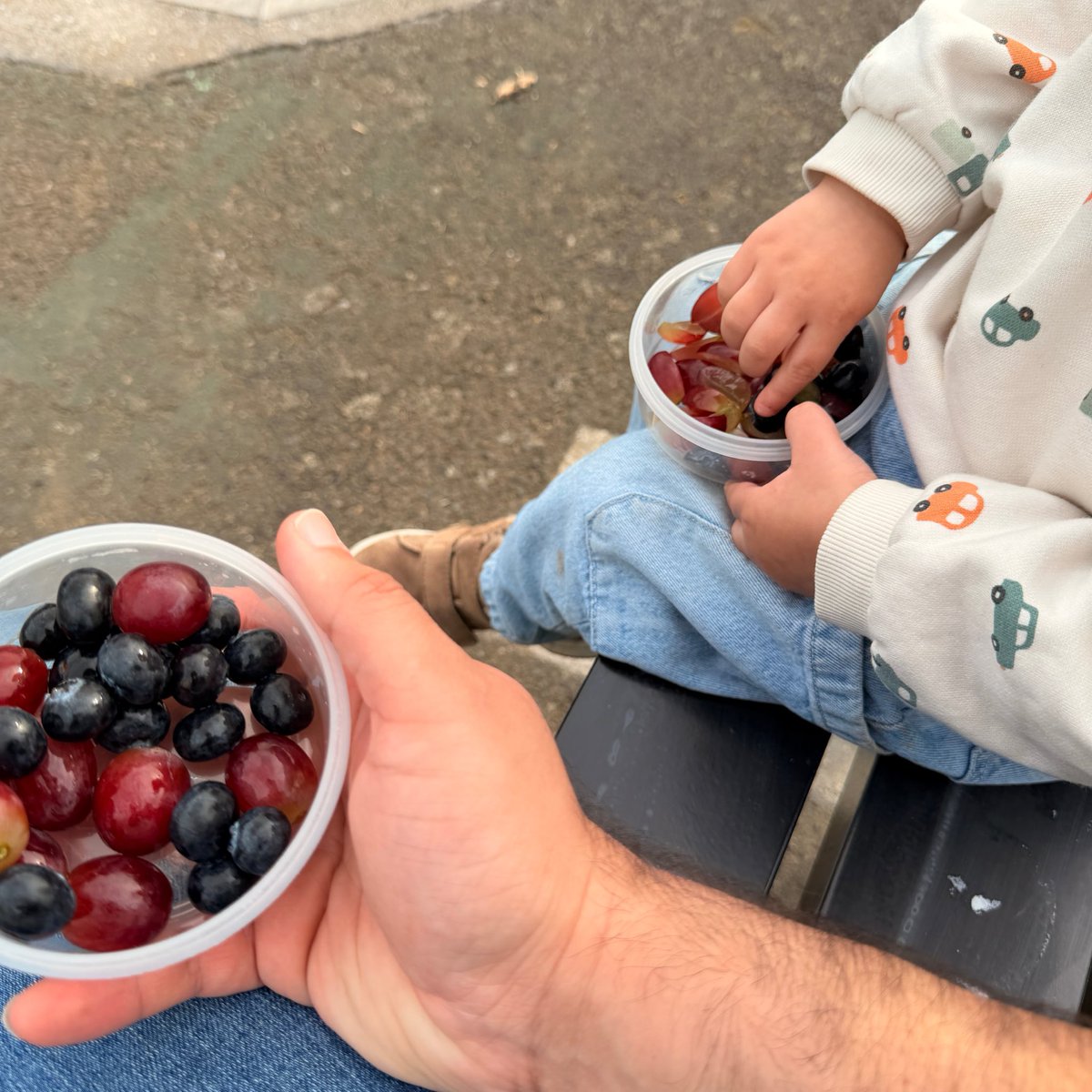 Mahyar Shilsar tweet media