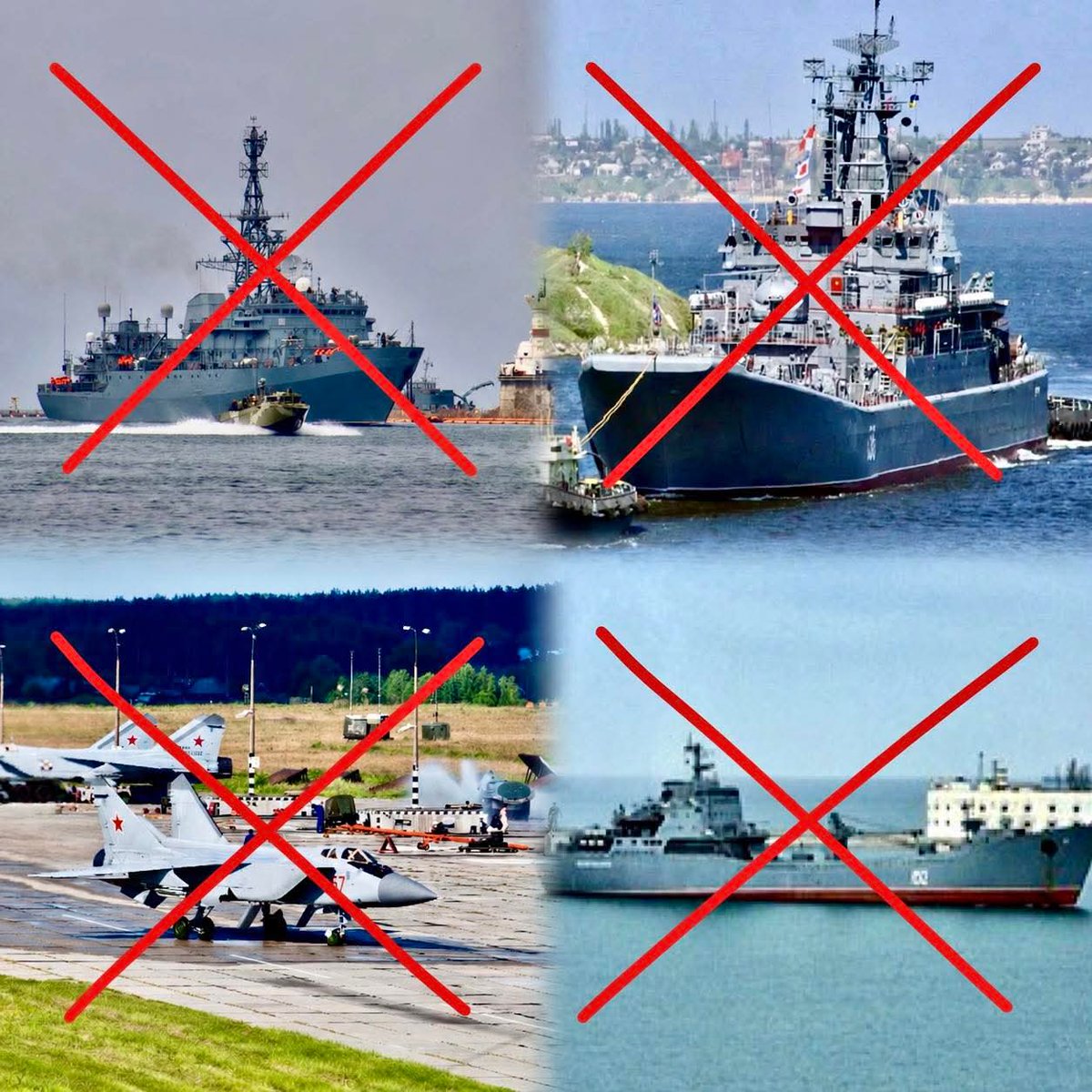 Olena Rohoza tweet media