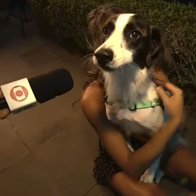 lele! ☆ tweet media