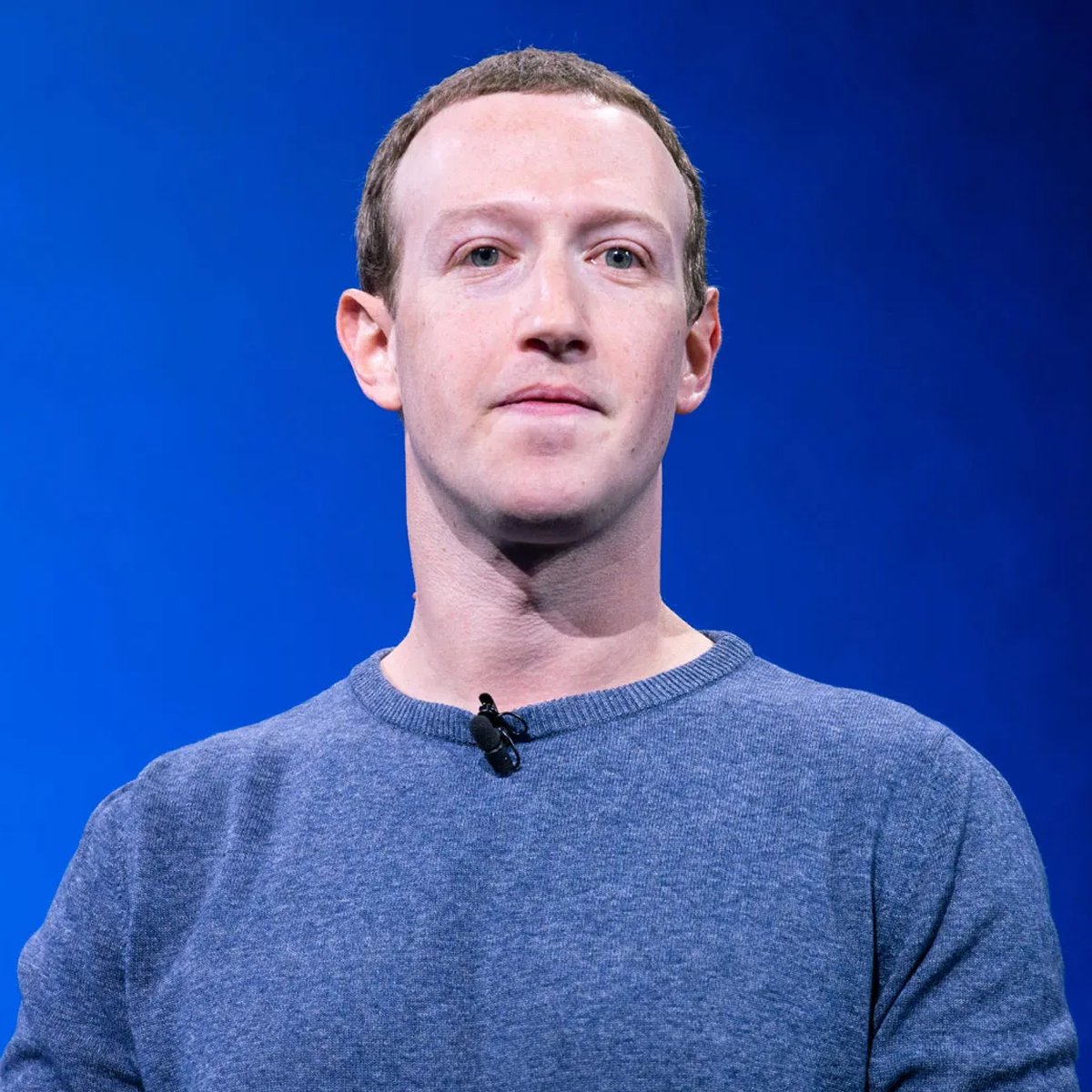 Wild Posts tweet media