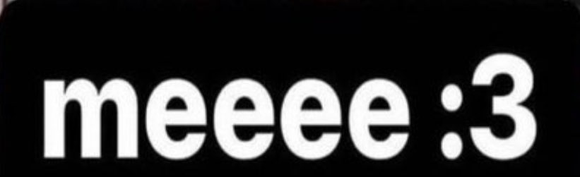 butch optimus prime tweet media