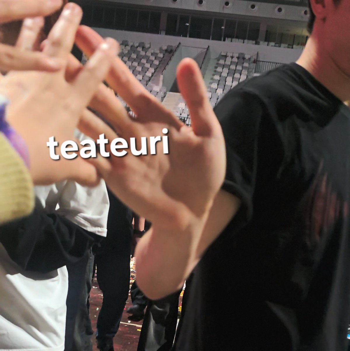 티트리 tweet media