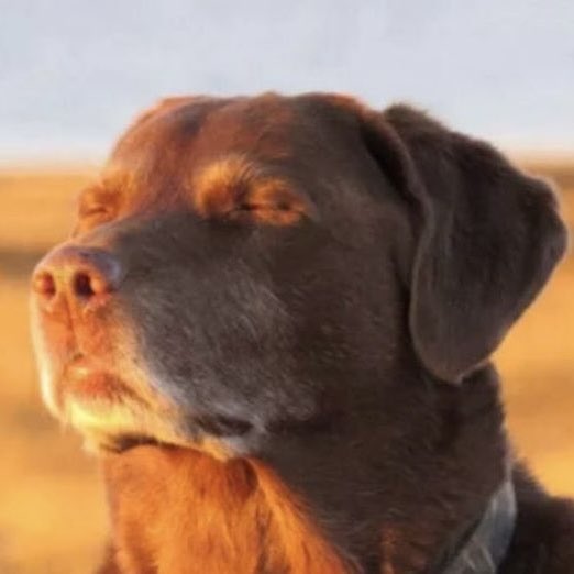 daily sephiroth (@sephdaily) on Twitter photo 