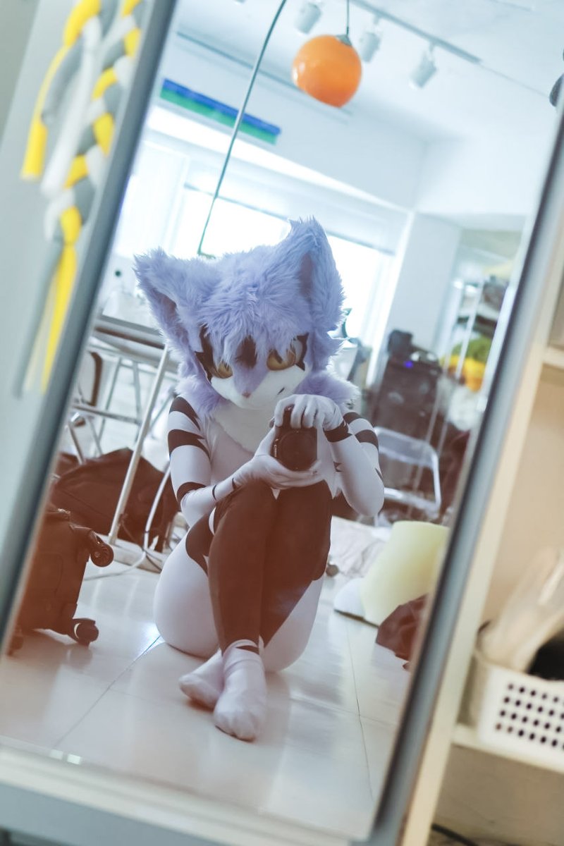 띠또🔜호랑이굴 tweet media