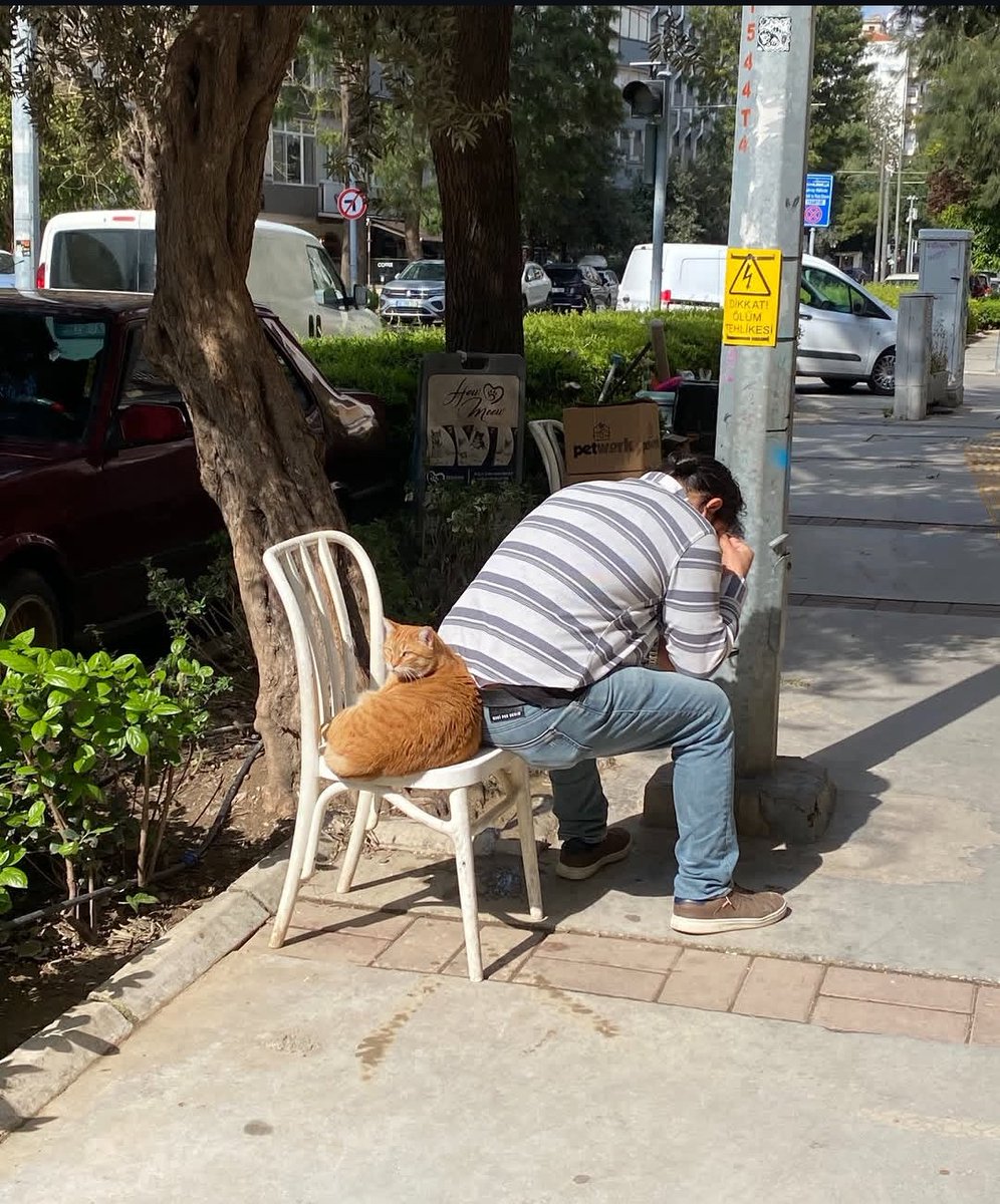 Wholesome Side of 𝕏 tweet media