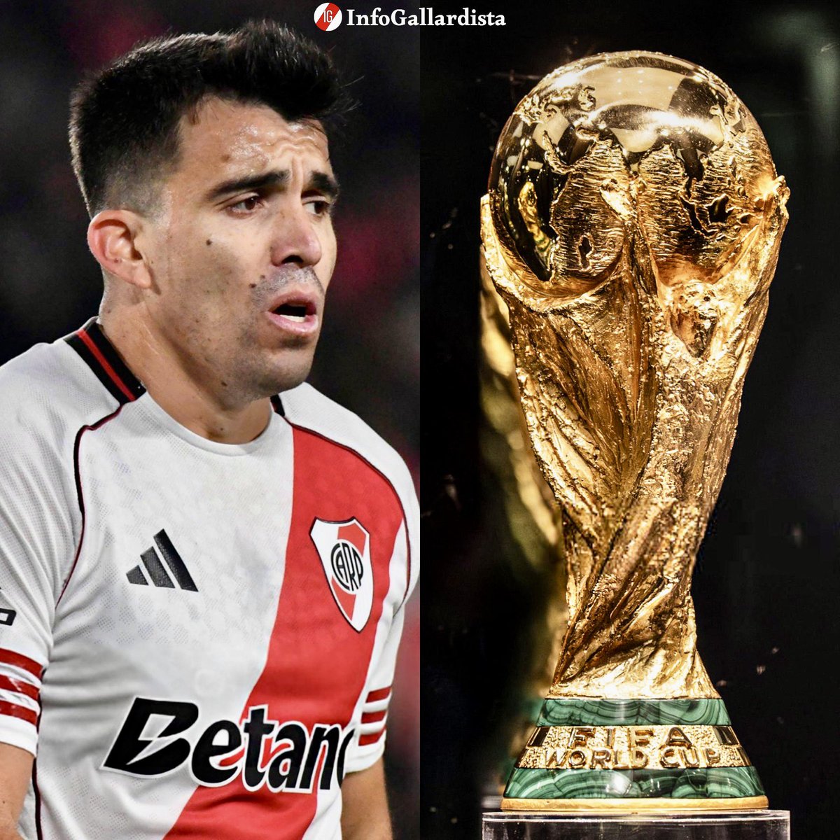 Info Gallardista tweet media