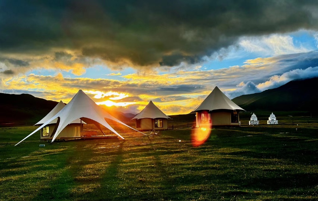 nelu darius tweet media