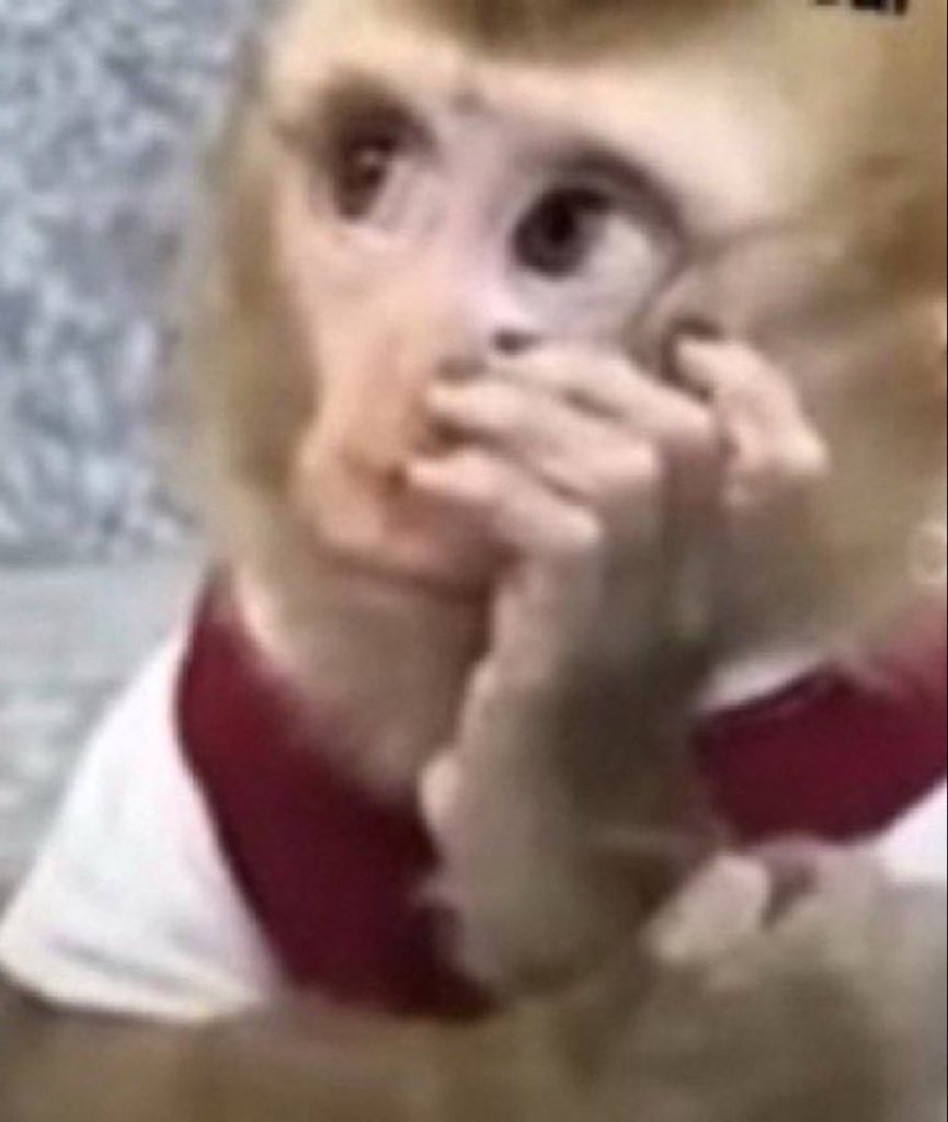 faz tempo que eu não vejo alguem com tanto ódio de si mesmo assim