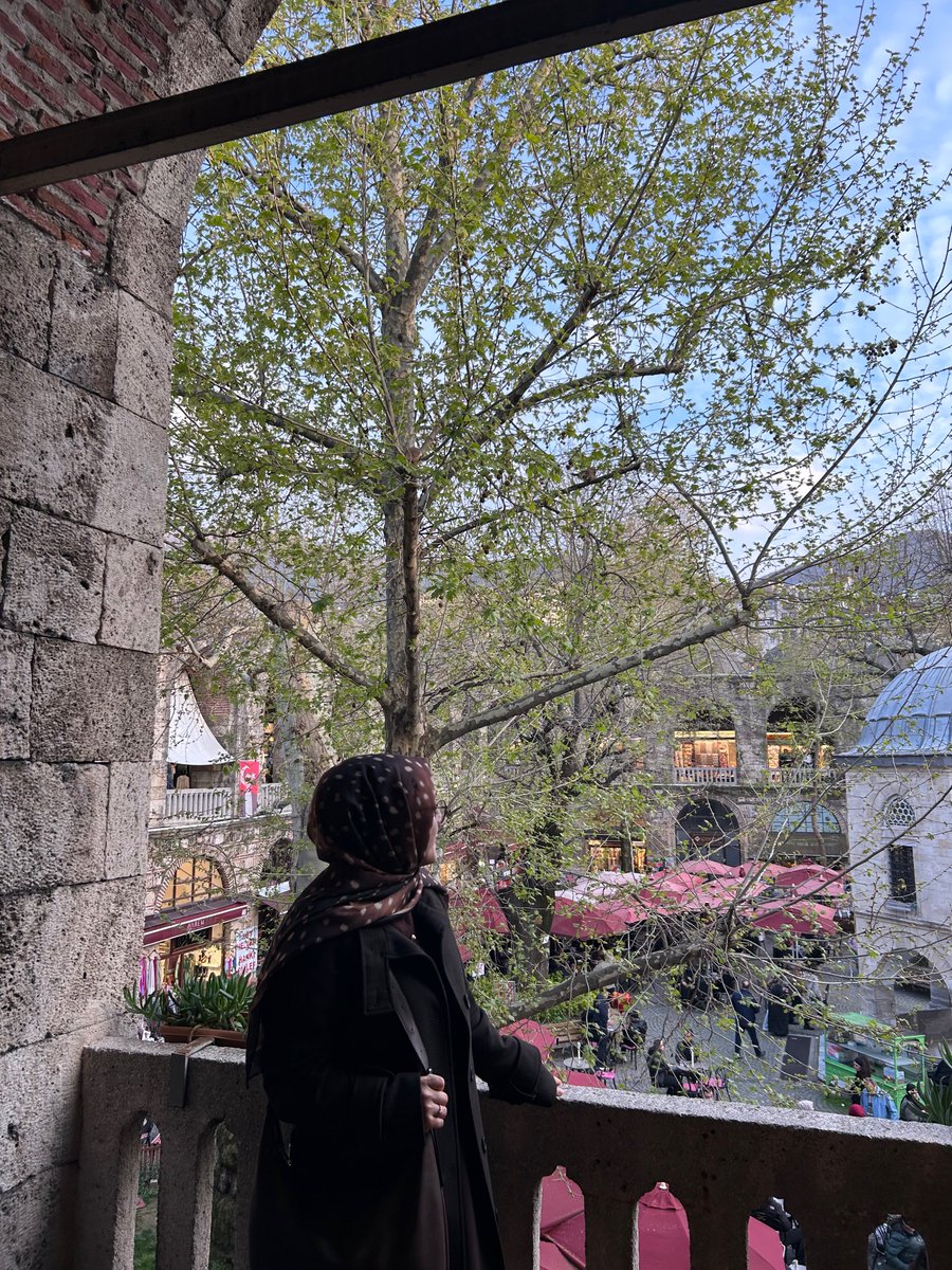 feyza' tweet media