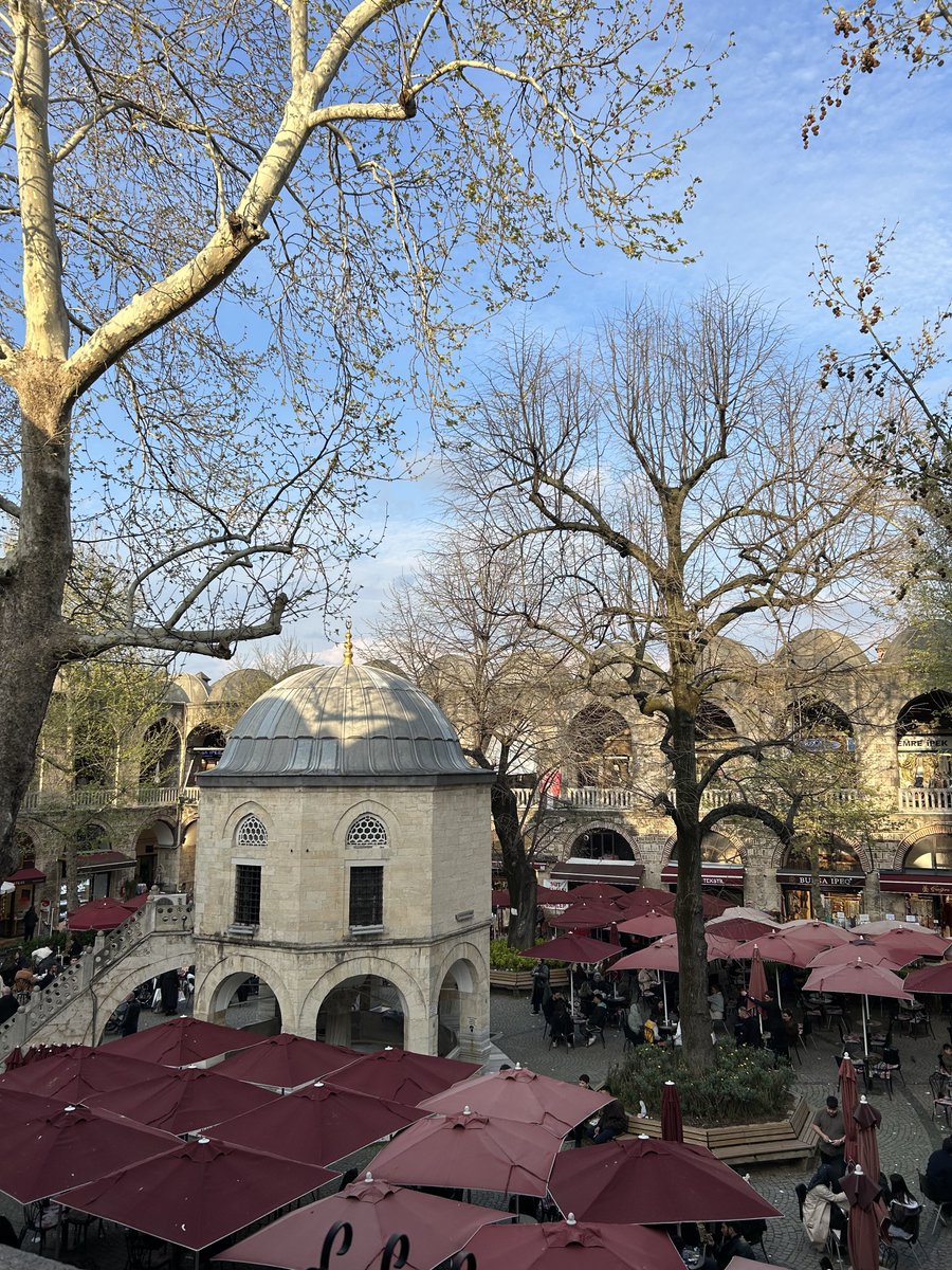 feyza' tweet media