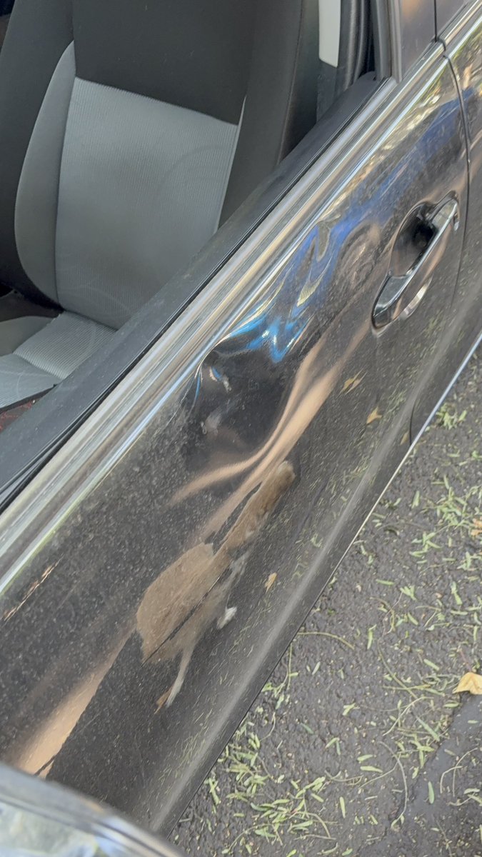 🍉Ignacio LozanoV tweet media