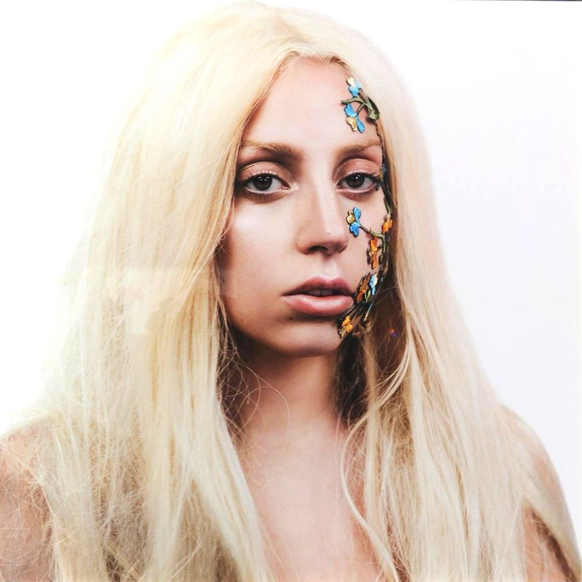 Gaga Notify tweet media