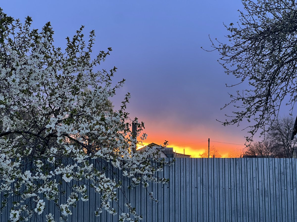 таніа tweet media