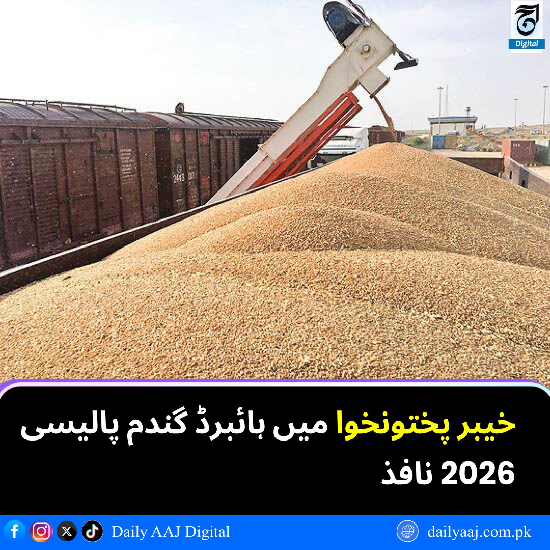 aajdigital's tweet image. خیبر پختونخوا میں ہائبرڈ گندم پالیسی 2026 نافذ......
مزید پڑھیں:dailyaaj.com.pk/news/151682

#KPK #WheatPolicy #Agriculture #Food #EconomicReforms #BreakingNews #dailyaajdigital