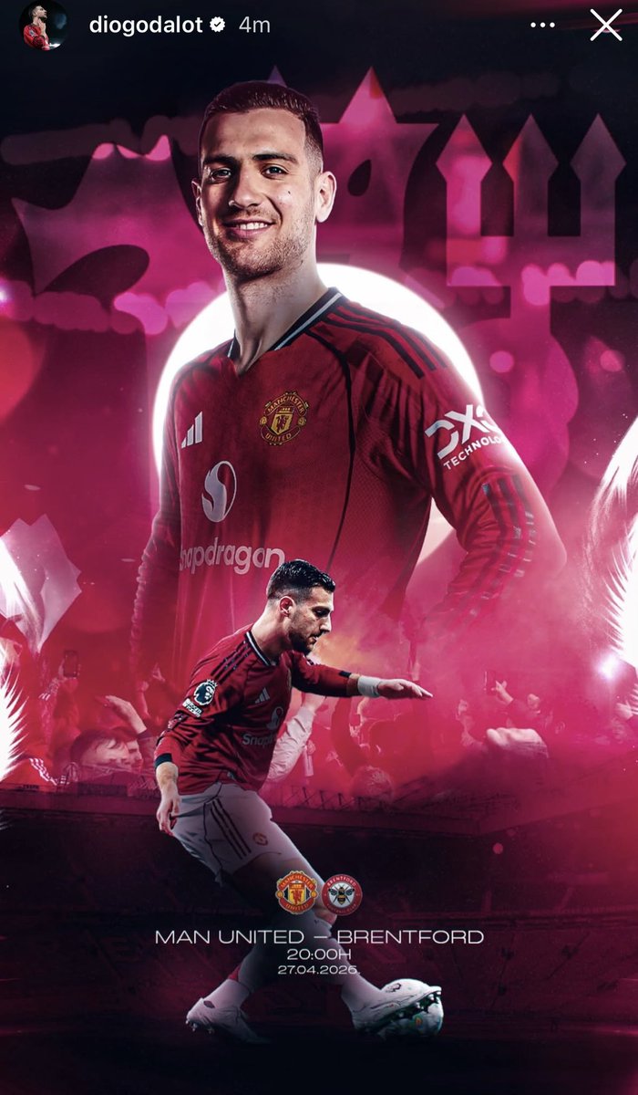 (fan) Frank 🧠🇾🇪 tweet media