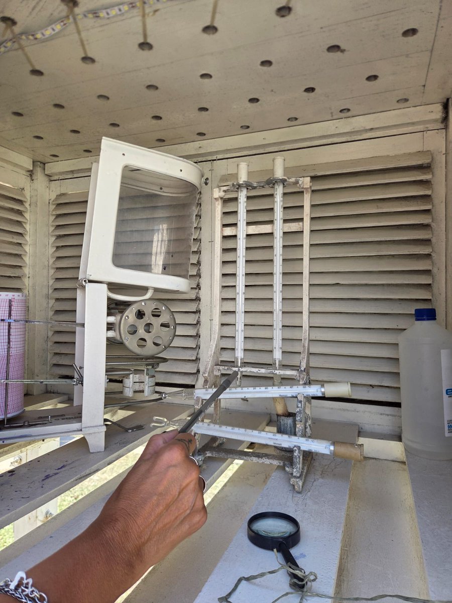 Fede Sturzenegger tweet media