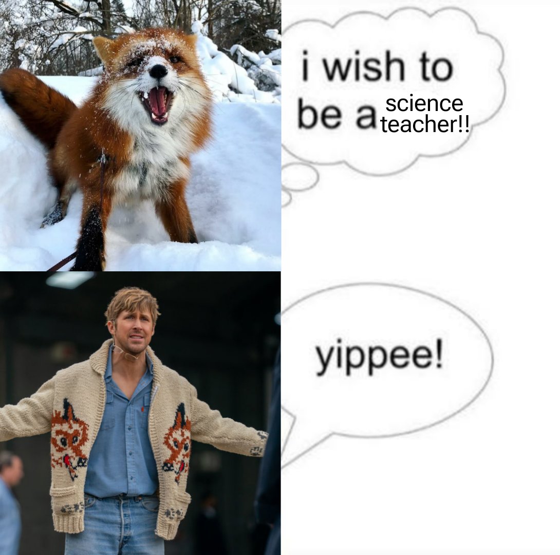 bean! 🦊🧡🤍🩷 phm my beloved tweet media