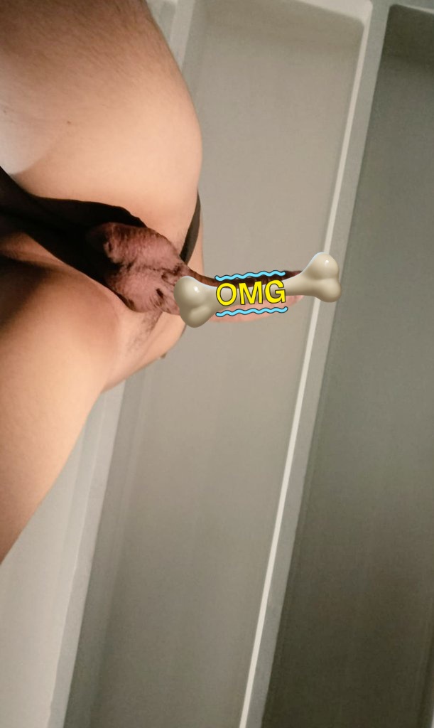 sflacoss's tweet photo. Chudai. Seguimos subiendo el calor en la cuenta. 🔥🙊
#flacoss #morbo #pajas #nude #caseros #amateur #cruising #bulge #pic https://t.co/gVDAVWUiEX