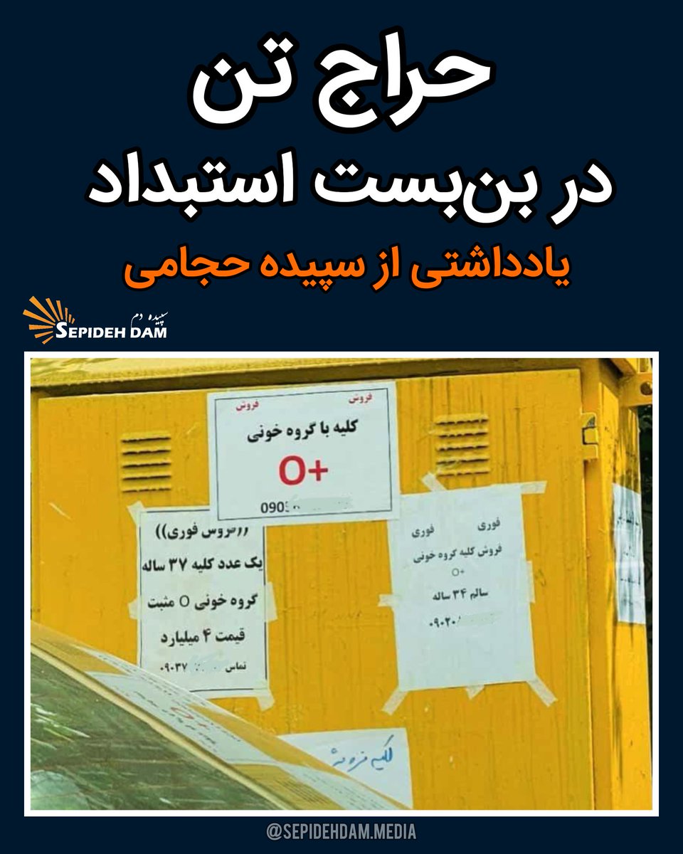 Sepidehdam.Media tweet media