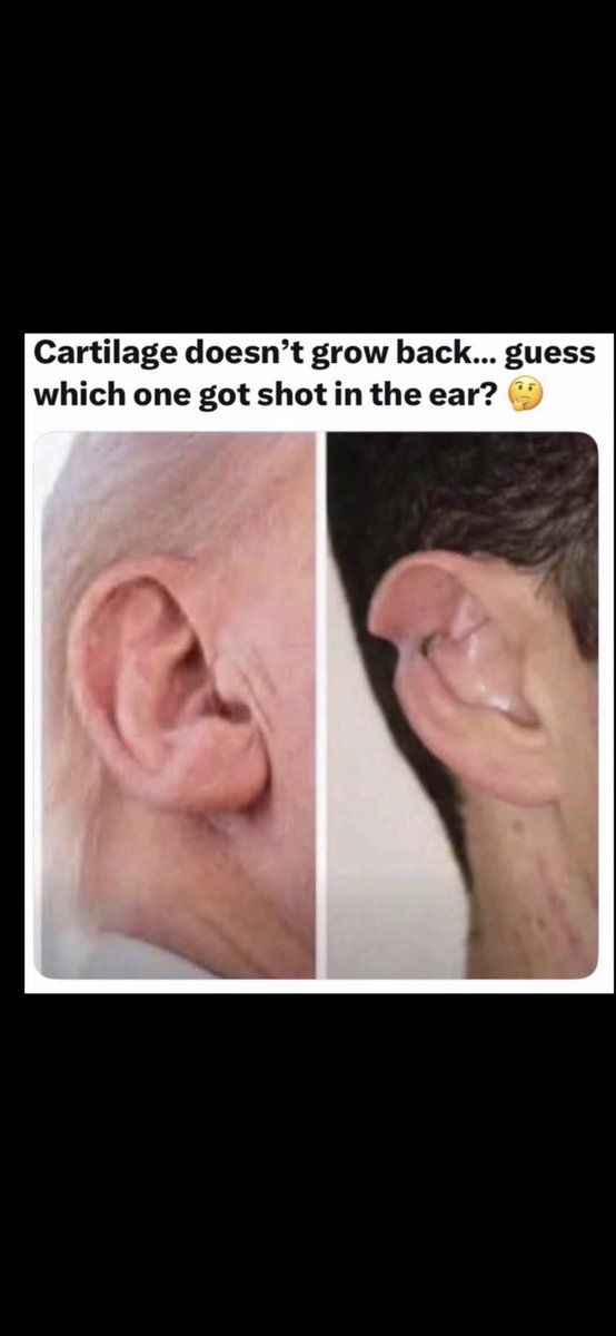 alwaysleft75 tweet media