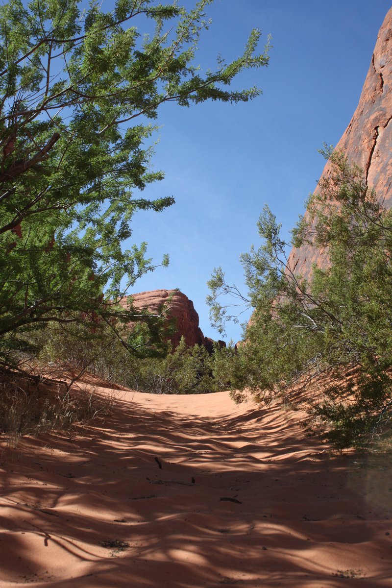 elguerolanchero's tweet image. #valleyoffire #nvstatepark #colors #explore 
The scenes from one of Nevada's state park Valley of Fire about 46 minutes  from Las Vegas $10.00 for locals and $15.00 non residents