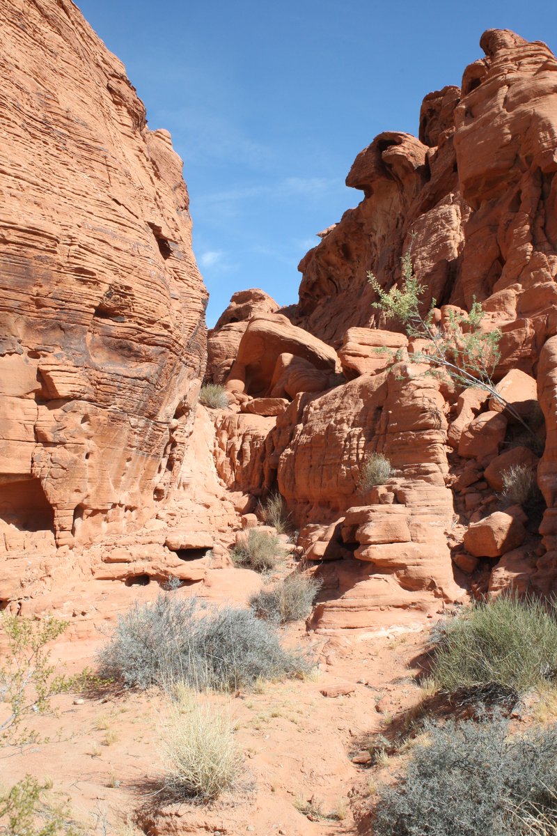 elguerolanchero's tweet image. #valleyoffire #nvstatepark #colors #explore 
The scenes from one of Nevada's state park Valley of Fire about 46 minutes  from Las Vegas $10.00 for locals and $15.00 non residents