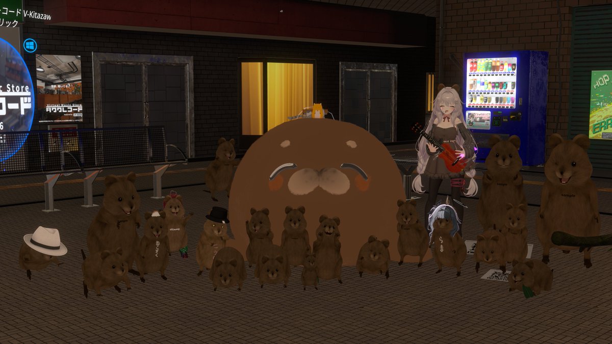 saenai_soncyo's tweet image. 本日のストリートライブ まみちか さん
今日も素敵な弾き語りでした
#VRFNS #まみちかのお庭
以前実施していたアンケートに、クアッカではない茶色いモフモフの票が1つ入っているのはここだけの秘密だぞ