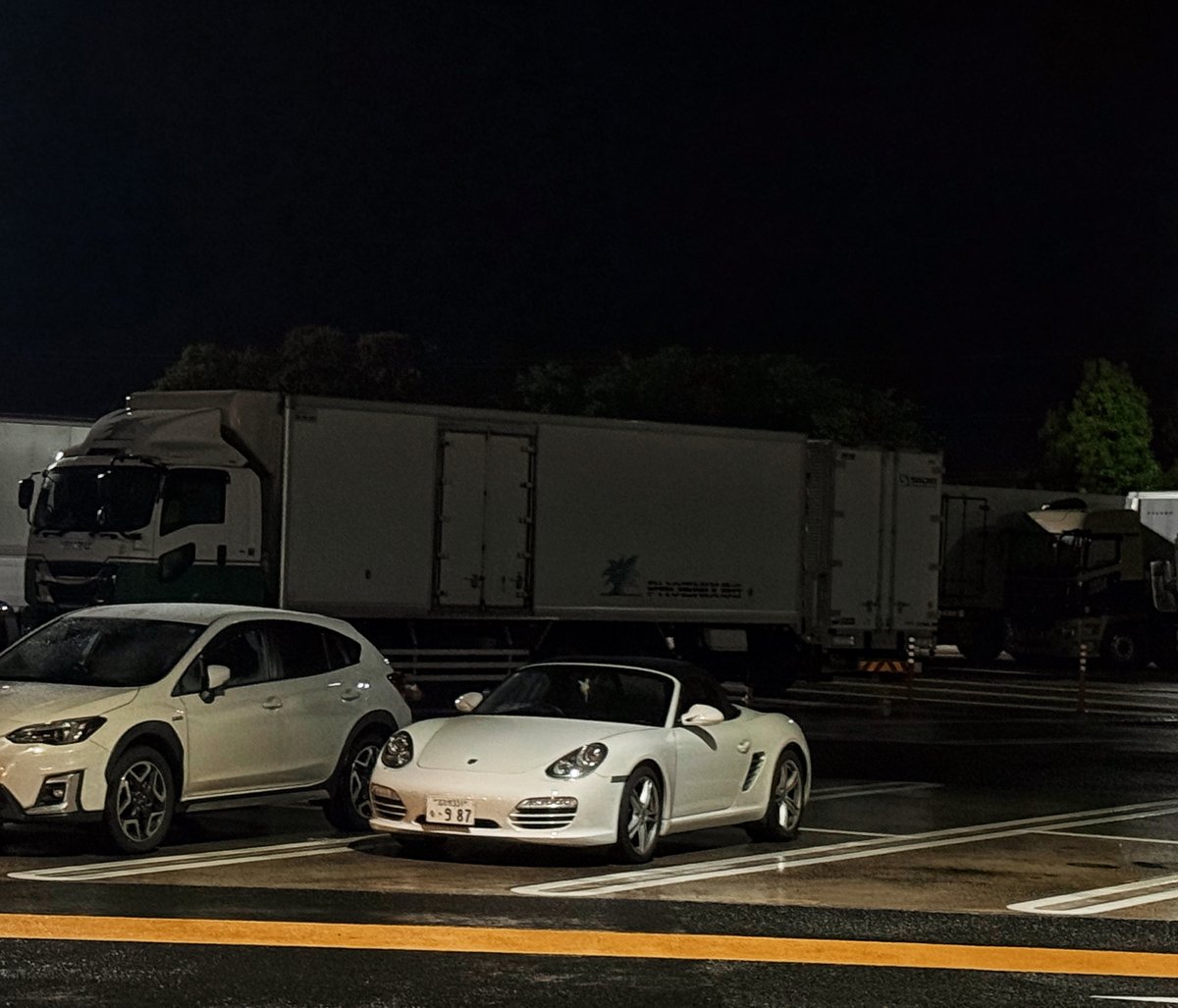 シュノ☯️暴れるましゅまろ tweet media