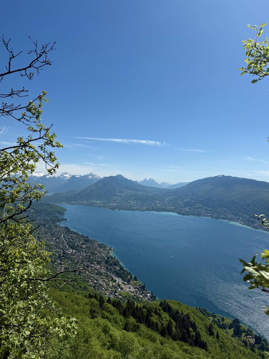 nihoncassandra tweet media