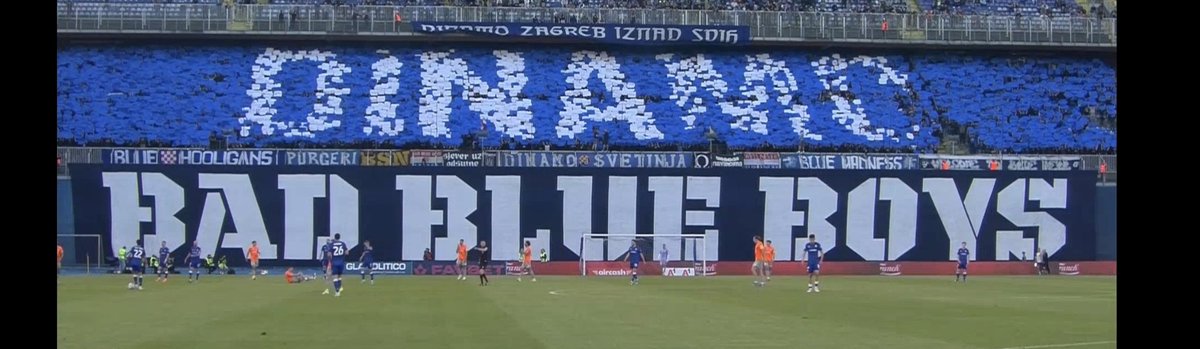 Immobile17 tweet media