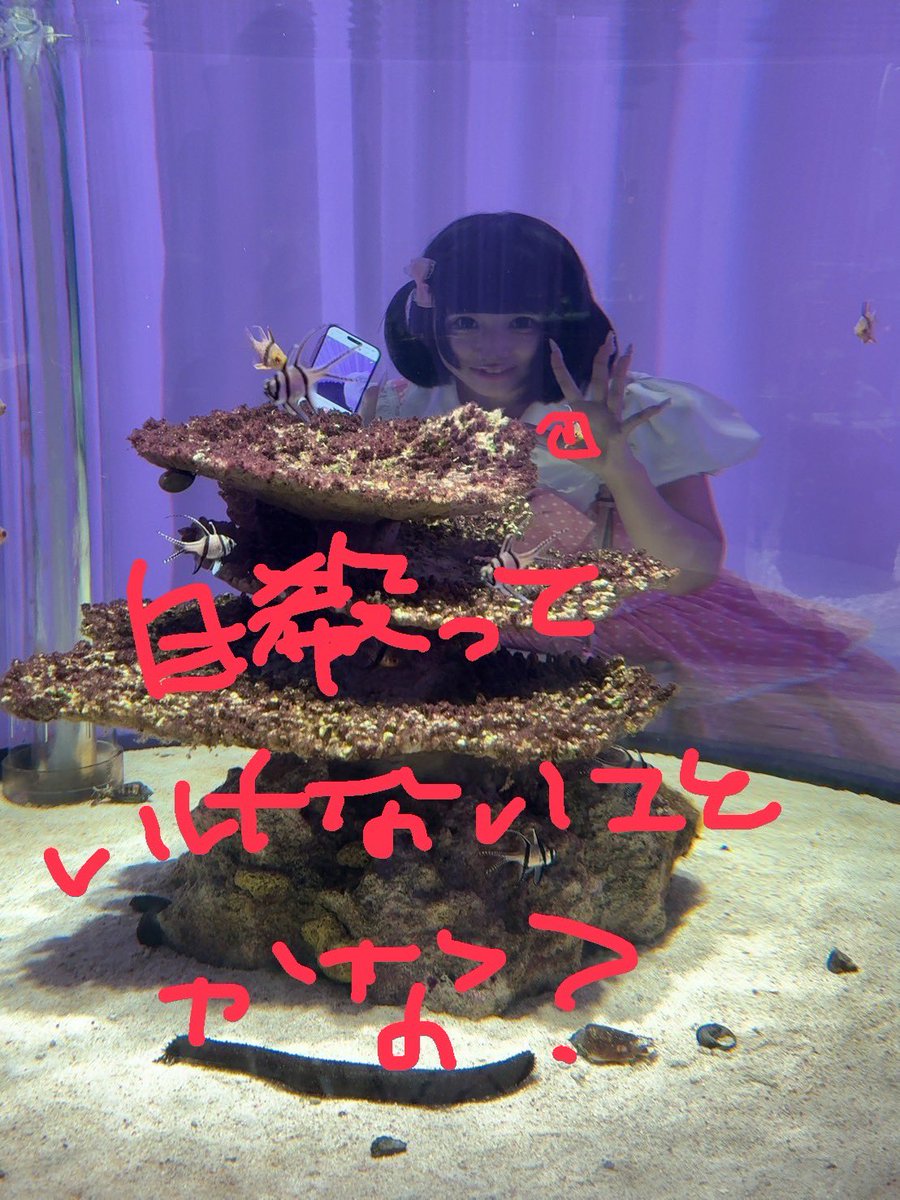 †❤︎ tweet media